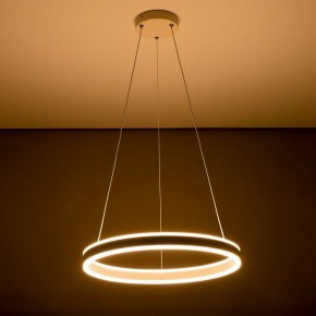 Подвесной светильник Citilux Дуэт CL719500 в Дегтярске - degtyarsk.ok-mebel.com | фото 11
