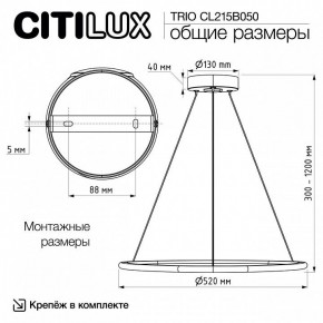 Подвесной светильник Citilux Trio CL215B050 в Дегтярске - degtyarsk.ok-mebel.com | фото 9
