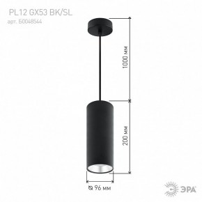Подвесной светильник Эра  PL12 GX53 BK/SL в Дегтярске - degtyarsk.ok-mebel.com | фото 8