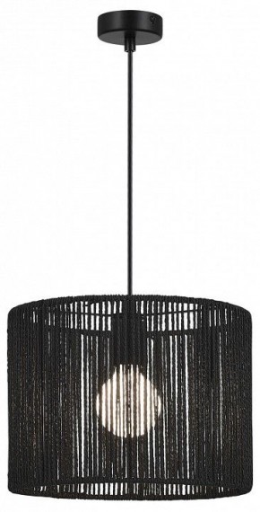 Подвесной светильник EVOLUCE ETTAN SLE6024-403-01 в Дегтярске - degtyarsk.ok-mebel.com | фото 2