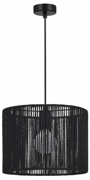 Подвесной светильник EVOLUCE ETTAN SLE6024-403-01 в Дегтярске - degtyarsk.ok-mebel.com | фото 4