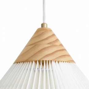 Подвесной светильник Freya Kinsley FR5533PL-01BS в Дегтярске - degtyarsk.ok-mebel.com | фото 8