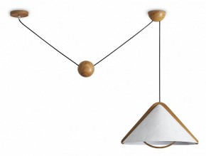 Подвесной светильник Freya Umbra FR5554CL-01T в Дегтярске - degtyarsk.ok-mebel.com | фото