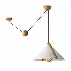 Подвесной светильник Freya Umbra FR5554CL-01T в Дегтярске - degtyarsk.ok-mebel.com | фото 2