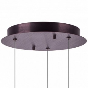 Подвесной светильник Lightstar Caramello 796139 в Дегтярске - degtyarsk.ok-mebel.com | фото 13