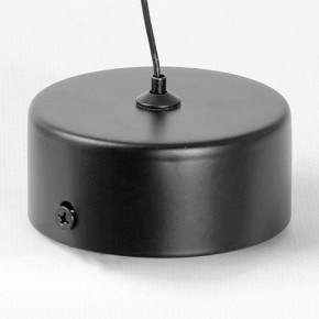 Подвесной светильник Lussole Blount LSP-7356 в Дегтярске - degtyarsk.ok-mebel.com | фото 6