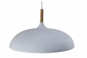 Подвесной светильник Moderli Hygo V11447-1P в Дегтярске - degtyarsk.ok-mebel.com | фото