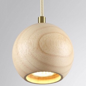 Подвесной светильник Odeon Light Caucho 7061/1 в Дегтярске - degtyarsk.ok-mebel.com | фото 2