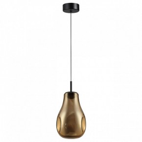 Подвесной светильник Odeon Light Nave 5098/4LA в Дегтярске - degtyarsk.ok-mebel.com | фото 4