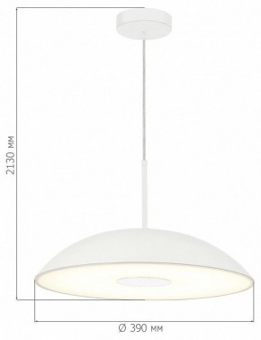 Подвесной светильник ST-Luce Lido SL6128.503.01 в Дегтярске - degtyarsk.ok-mebel.com | фото 4