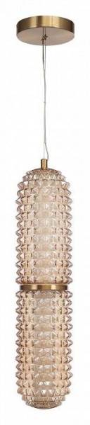Подвесной светильник ST-Luce SAGUARO SL6144.303.01 в Дегтярске - degtyarsk.ok-mebel.com | фото 3