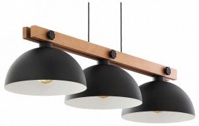 Подвесной светильник TopLight Marion TL1625H-03BK в Дегтярске - degtyarsk.ok-mebel.com | фото