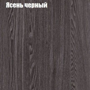 Прихожая ДИАНА-4 сек №10 (Ясень анкор/Дуб эльза) в Дегтярске - degtyarsk.ok-mebel.com | фото 3