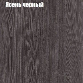 Прихожая ДИАНА-4 сек №6 (Ясень анкор/Дуб эльза) в Дегтярске - degtyarsk.ok-mebel.com | фото 3