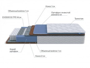 PROxSON Матрас Active Duo M/F (Ткань Трикотаж Эко) 120x190 в Дегтярске - degtyarsk.ok-mebel.com | фото 6