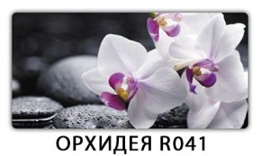 Раздвижной СТ Бриз орхидея R041 Кофе R012 в Дегтярске - degtyarsk.ok-mebel.com | фото 4