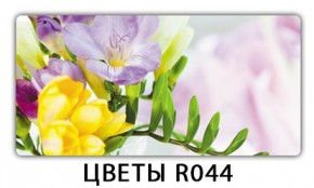 Раздвижной СТ Бриз орхидея R041 Цветы R044 в Дегтярске - degtyarsk.ok-mebel.com | фото 16