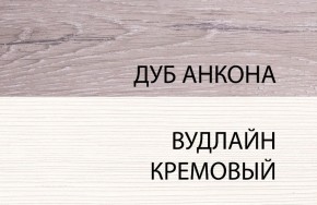 Шкаф 1DZ, OLIVIA, цвет вудлайн крем/дуб анкона в Дегтярске - degtyarsk.ok-mebel.com | фото 3