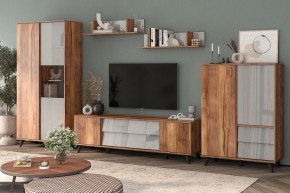 Шкаф комбинированный Онтарио 474.06 в Дегтярске - degtyarsk.ok-mebel.com | фото 5