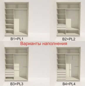 Шкаф-купе 1400 серии SOFT D8+D2+B2+PL4 (2 ящика+F обр.штанга) профиль «Графит» в Дегтярске - degtyarsk.ok-mebel.com | фото 6