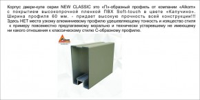 Шкаф-купе 1500 серии NEW CLASSIC K3+K3+B2+PL1 (2 ящика+1 штанга) профиль «Капучино» в Дегтярске - degtyarsk.ok-mebel.com | фото 17