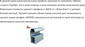 Шкаф-купе 1700 серии SILVER S5+S5+B2+PL3 (2 ящика+2 штанги) профиль «Серебро» в Дегтярске - degtyarsk.ok-mebel.com | фото 4