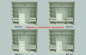 Шкаф-купе 2450 серии NEW CLASSIC K6Z+K1+K6+B22+PL2 (по 2 ящика лев/прав+1 штанга+1 полка) профиль «Капучино» в Дегтярске - degtyarsk.ok-mebel.com | фото 6