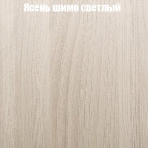 Шкаф-купе «ТАНДЕМ» 2-х дверный в алюминиевом профиле (Дверь К+К) 1200/h2200 в Дегтярске - degtyarsk.ok-mebel.com | фото 6