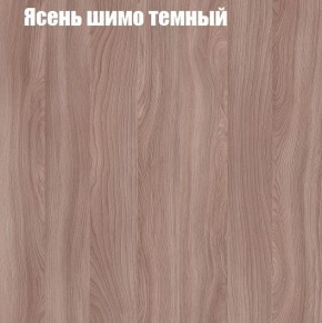 Шкаф-купе «ТАНДЕМ» 2-х дверный в алюминиевом профиле (Дверь К+К) 1200/h2200 в Дегтярске - degtyarsk.ok-mebel.com | фото 7
