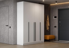 Шкаф платяной Бирма в Дегтярске - degtyarsk.ok-mebel.com | фото 5