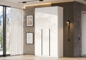Шкаф платяной Даиго в Дегтярске - degtyarsk.ok-mebel.com | фото 3