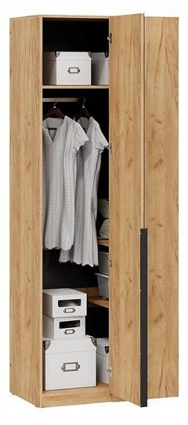 Шкаф платяной Джоли в Дегтярске - degtyarsk.ok-mebel.com | фото 3