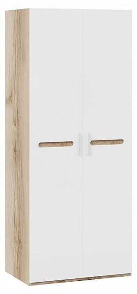 Шкаф платяной Фьюжн ТД-260.07.02 в Дегтярске - degtyarsk.ok-mebel.com | фото