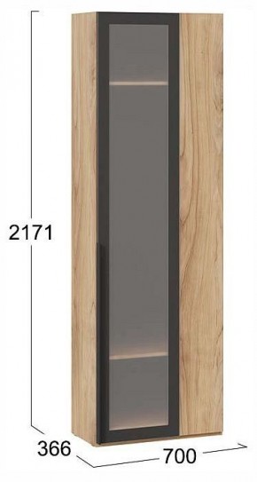 Шкаф платяной Порто СМ-393.07.233 в Дегтярске - degtyarsk.ok-mebel.com | фото 3