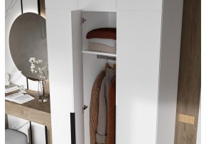 Шкаф платяной Широн в Дегтярске - degtyarsk.ok-mebel.com | фото 3