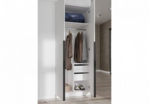 Шкаф платяной Широн в Дегтярске - degtyarsk.ok-mebel.com | фото 3