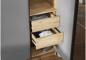 Шкаф платяной Широн в Дегтярске - degtyarsk.ok-mebel.com | фото 3