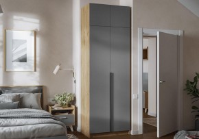 Шкаф платяной Широн в Дегтярске - degtyarsk.ok-mebel.com | фото 4