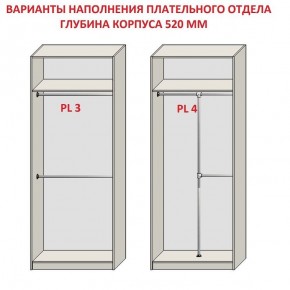 Шкаф распашной серия «ЗЕВС» (PL3/С1/PL2) в Дегтярске - degtyarsk.ok-mebel.com | фото 10