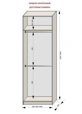 Шкаф распашной серия «ЗЕВС» (PL3/С1/PL2) в Дегтярске - degtyarsk.ok-mebel.com | фото 12