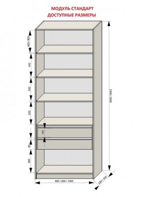 Шкаф распашной серия «ЗЕВС» (PL3/С1/PL2) в Дегтярске - degtyarsk.ok-mebel.com | фото 13