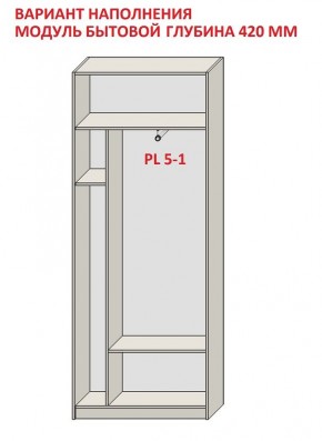 Шкаф распашной серия «ЗЕВС» (PL3/С1/PL2) в Дегтярске - degtyarsk.ok-mebel.com | фото 4