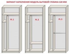 Шкаф распашной серия «ЗЕВС» (PL3/С1/PL2) в Дегтярске - degtyarsk.ok-mebel.com | фото 5