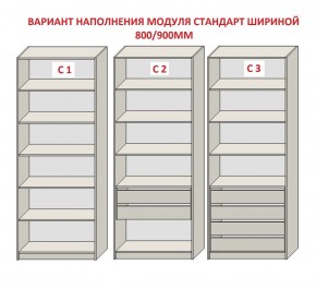 Шкаф распашной серия «ЗЕВС» (PL3/С1/PL2) в Дегтярске - degtyarsk.ok-mebel.com | фото 6