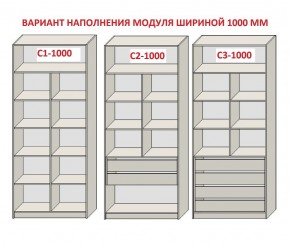 Шкаф распашной серия «ЗЕВС» (PL3/С1/PL2) в Дегтярске - degtyarsk.ok-mebel.com | фото 7
