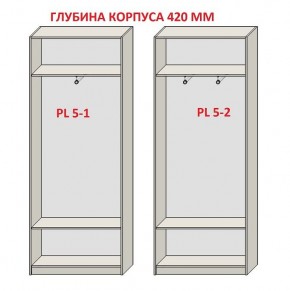 Шкаф распашной серия «ЗЕВС» (PL3/С1/PL2) в Дегтярске - degtyarsk.ok-mebel.com | фото 8