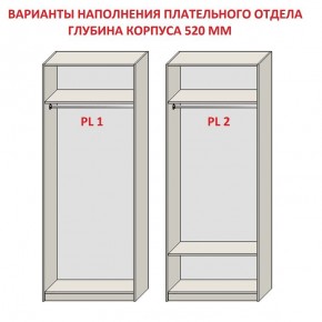 Шкаф распашной серия «ЗЕВС» (PL3/С1/PL2) в Дегтярске - degtyarsk.ok-mebel.com | фото 9