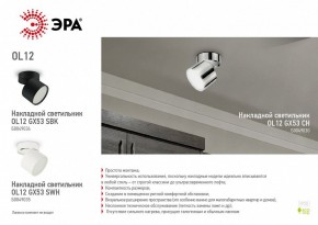 Светильник на штанге Эра OL12 GX53 SWH Б0049035 в Дегтярске - degtyarsk.ok-mebel.com | фото 5