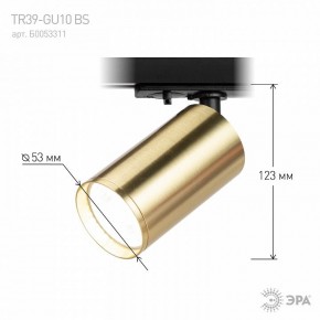 Светильник на штанге Эра  TR39-GU10 BS в Дегтярске - degtyarsk.ok-mebel.com | фото 6