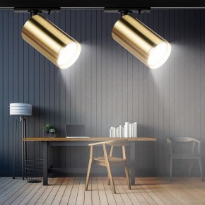Светильник на штанге Эра  TR39-GU10 BS в Дегтярске - degtyarsk.ok-mebel.com | фото 7